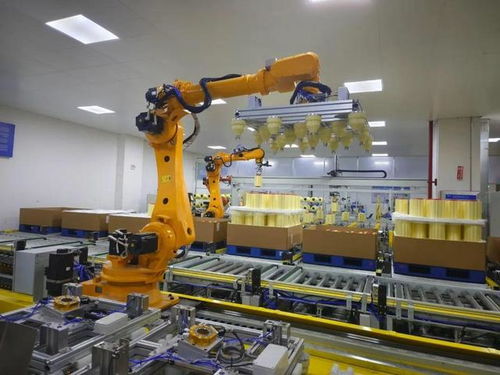 长江策 从穿衣革命到大国工程，一根丝的建筑创新之旅